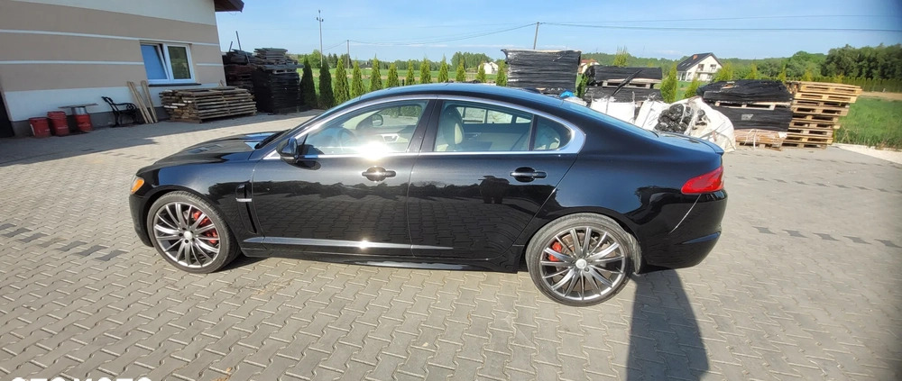 Jaguar XF cena 40000 przebieg: 151000, rok produkcji 2010 z Biecz małe 301